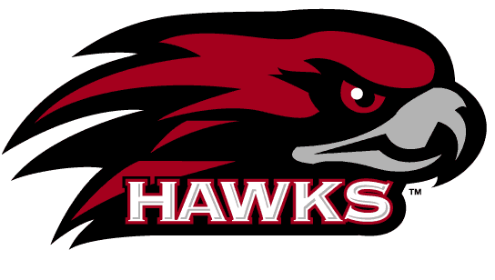 St. Joseph's Hawks 2001-Pres Alternate Logo v3 iron on transfers for clothing